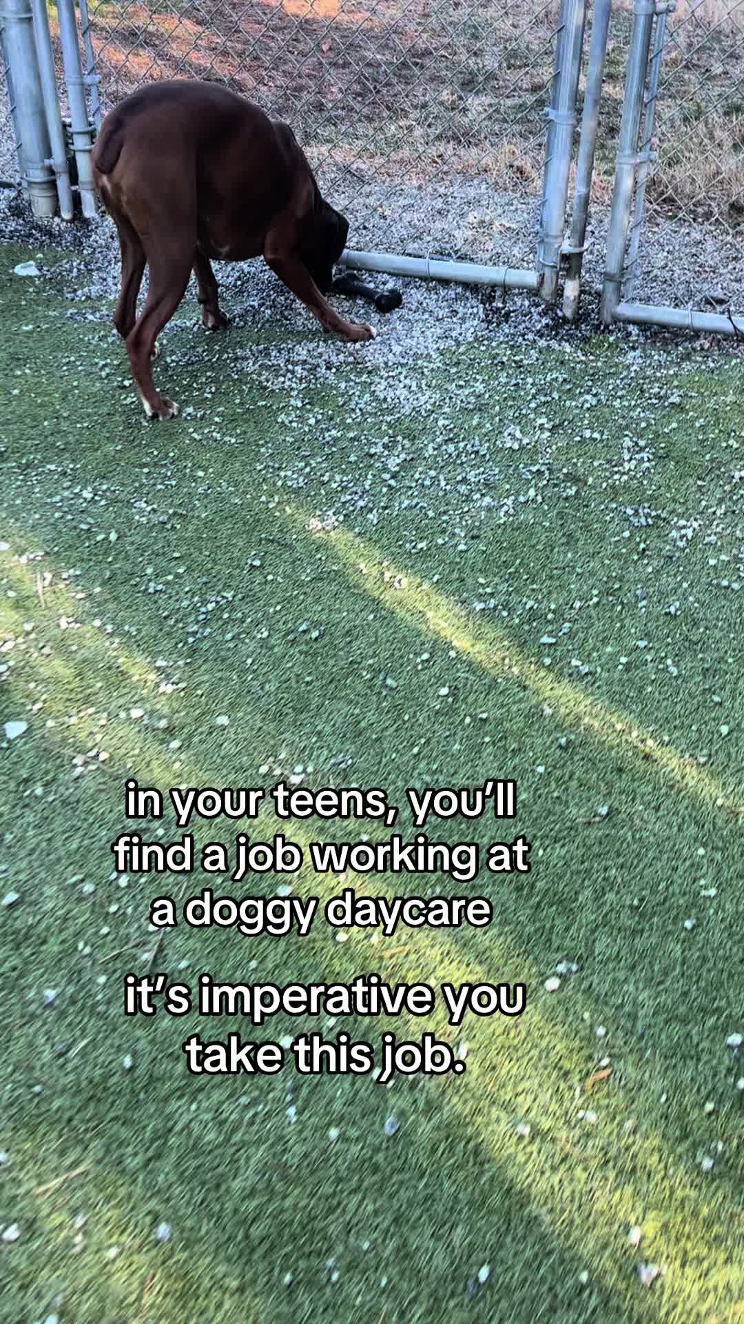 @Patience:)