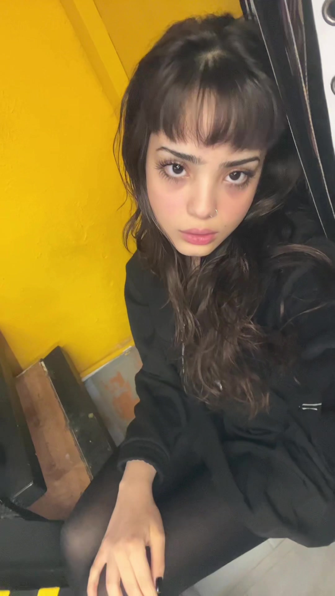 @shahrzad