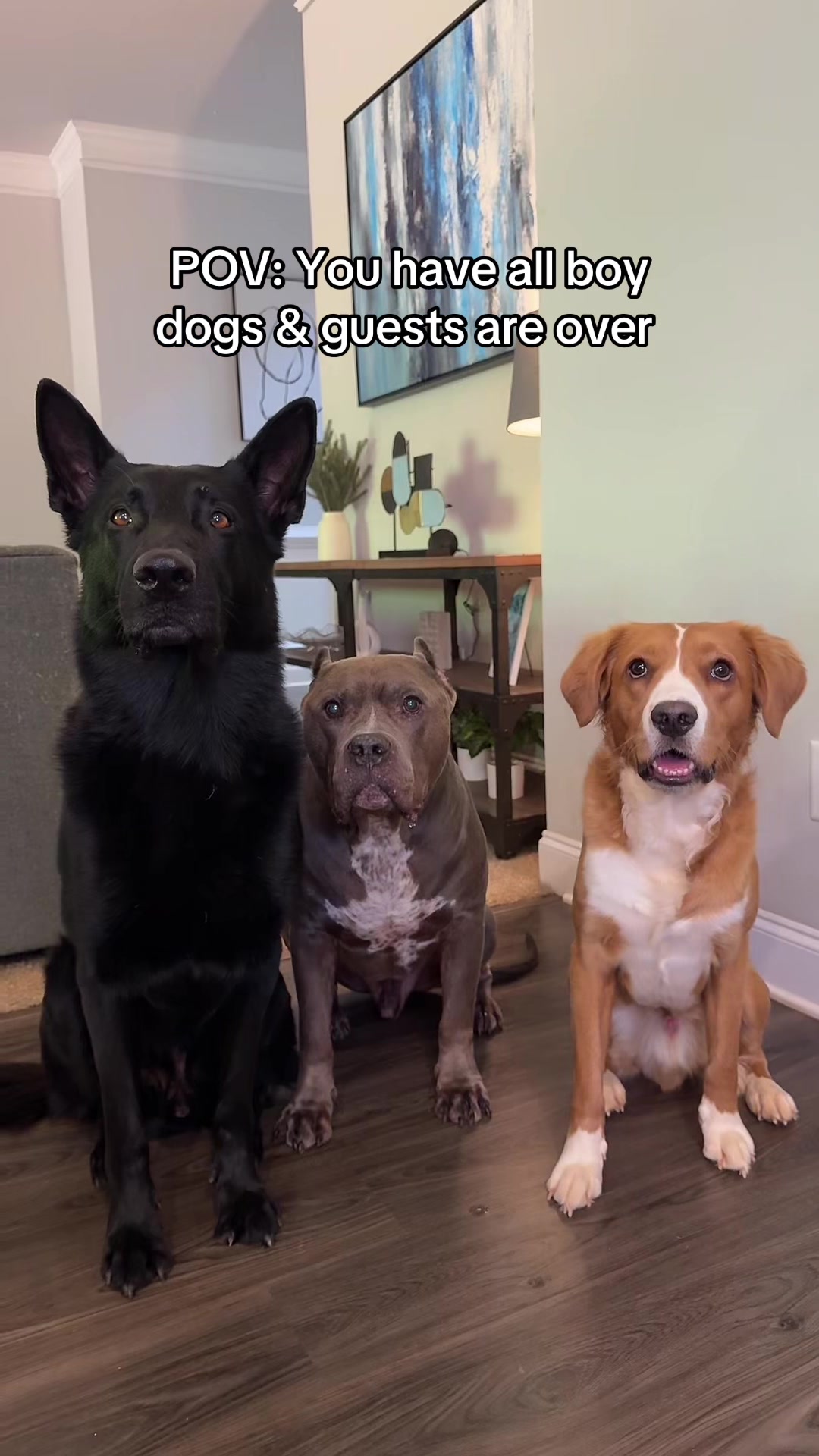 @My Dog&rsquo;s Dope