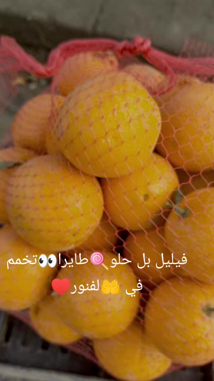 @Wassim Maryul
