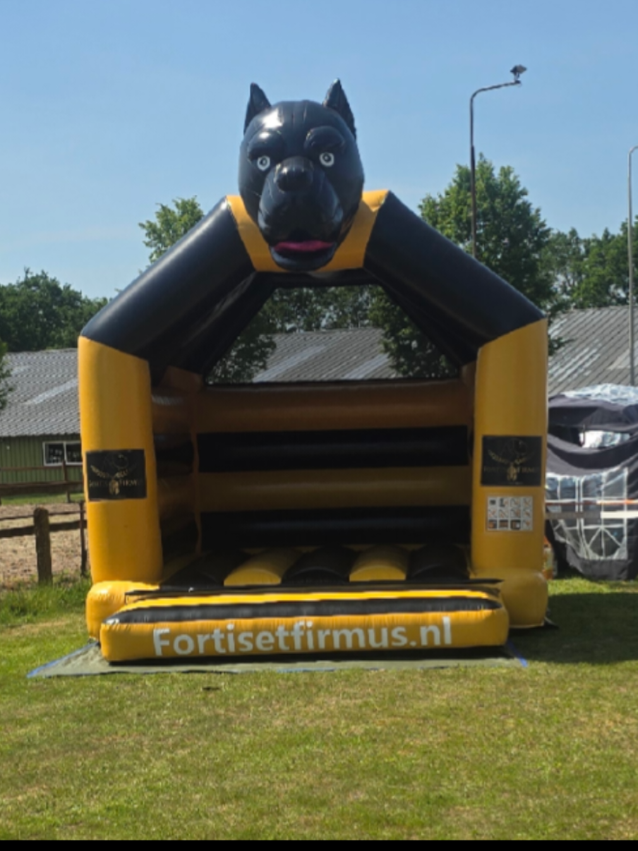 @canecorsodortmund