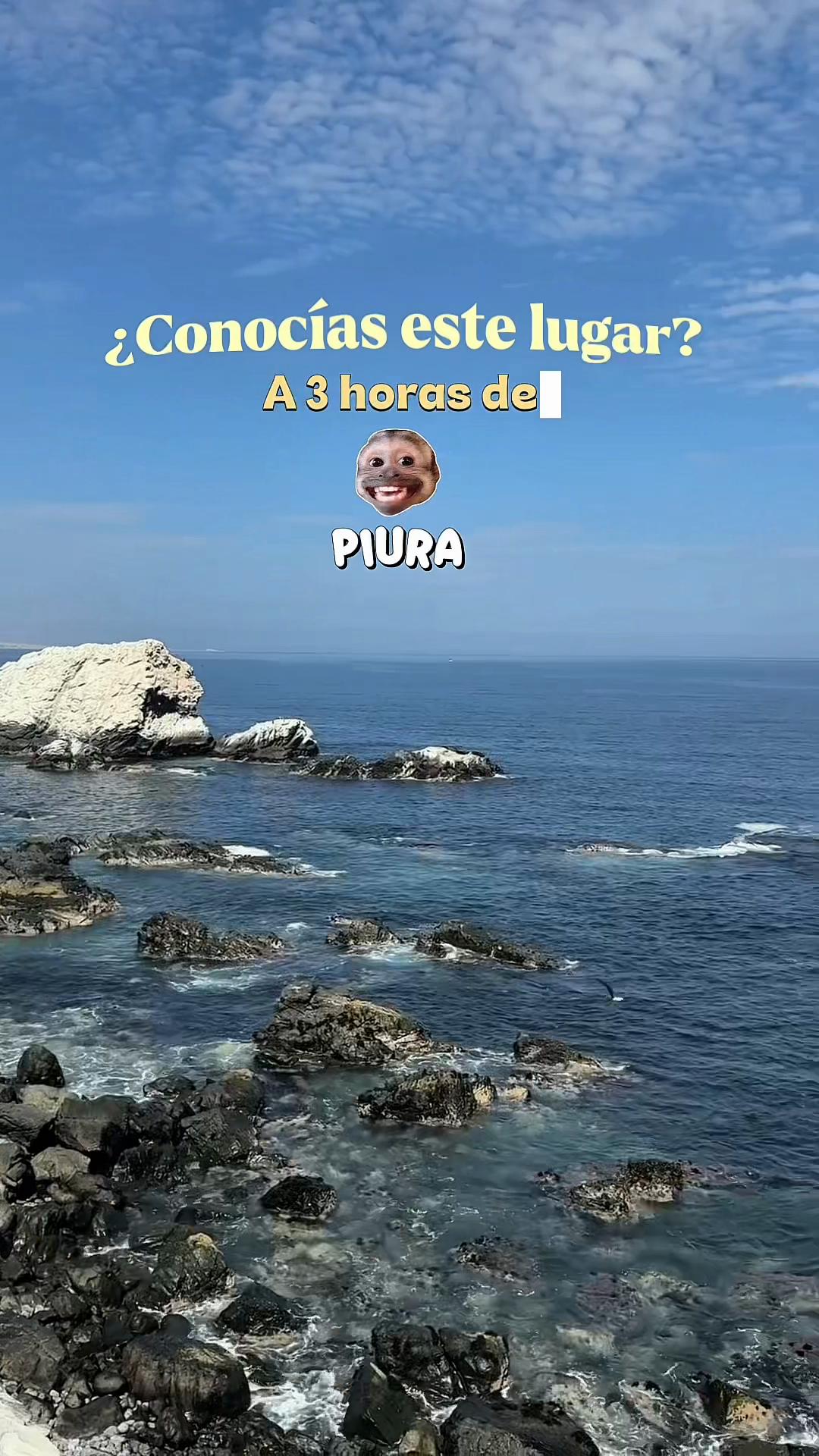 @Gress | Creadora de Contenido