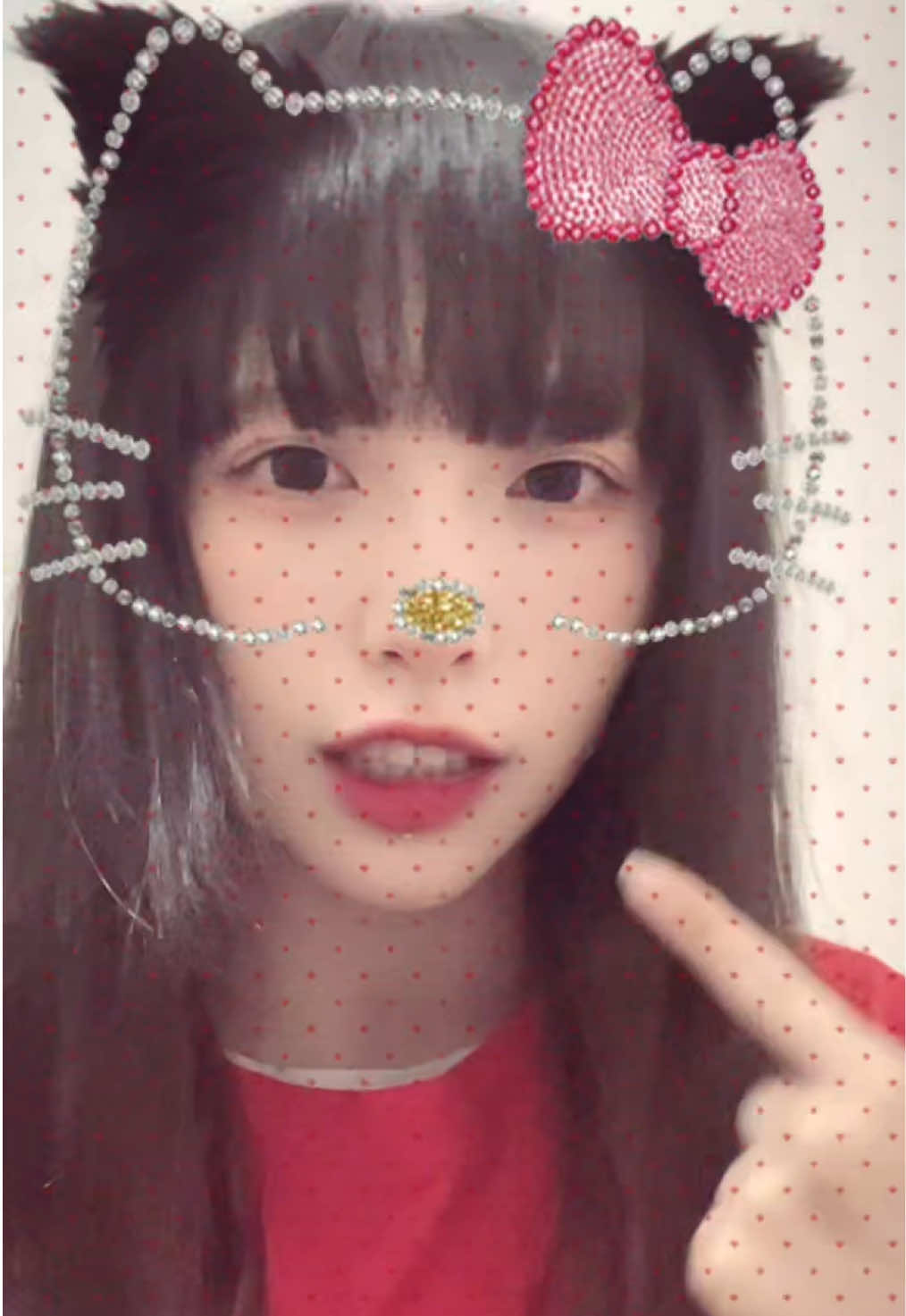 @ねこち