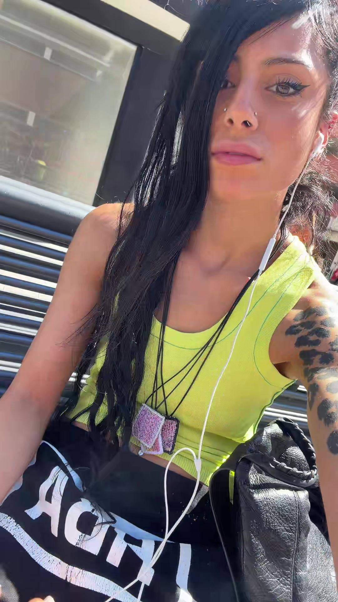 @persiankitten