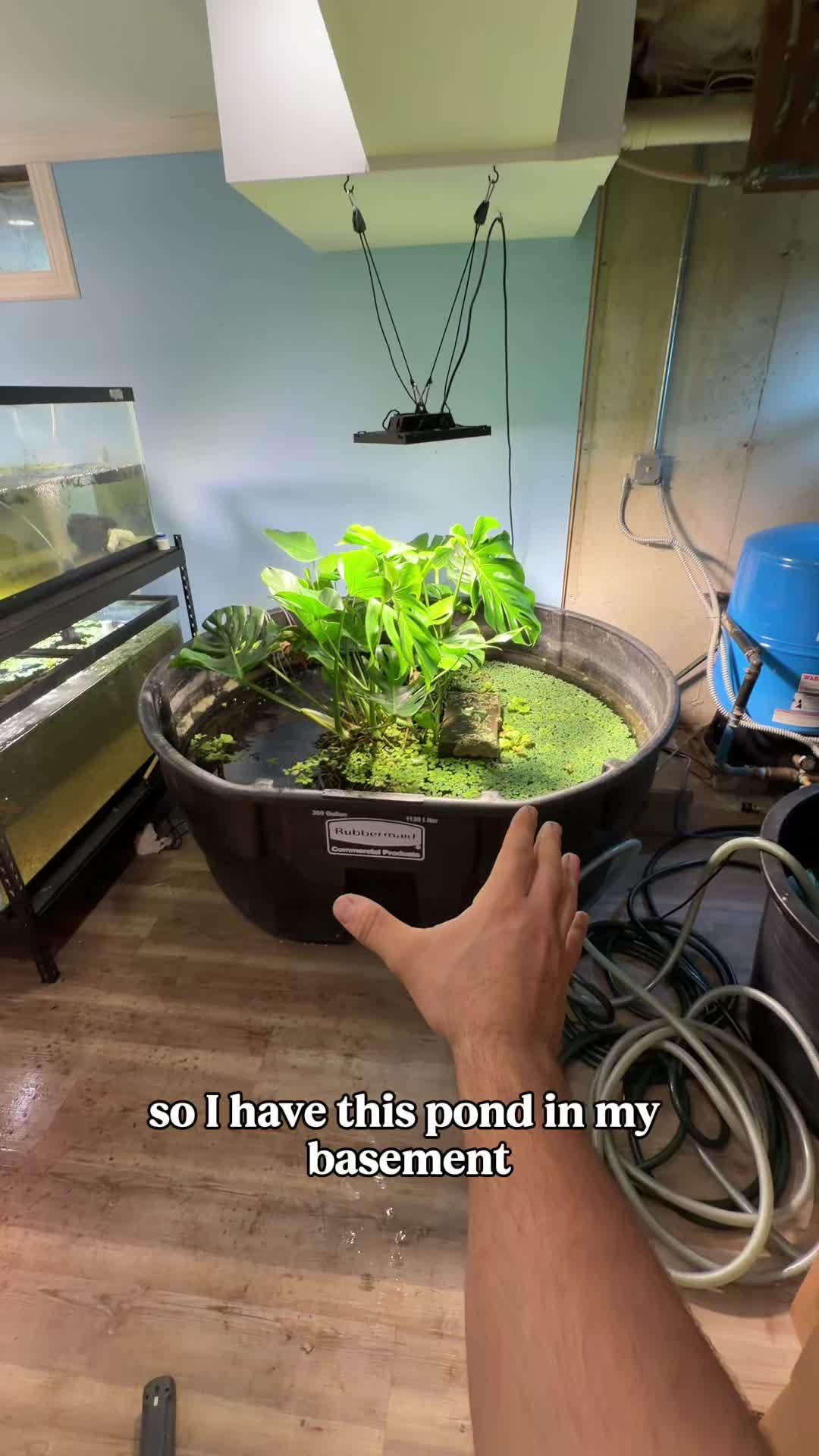 @The Goldfish Guy