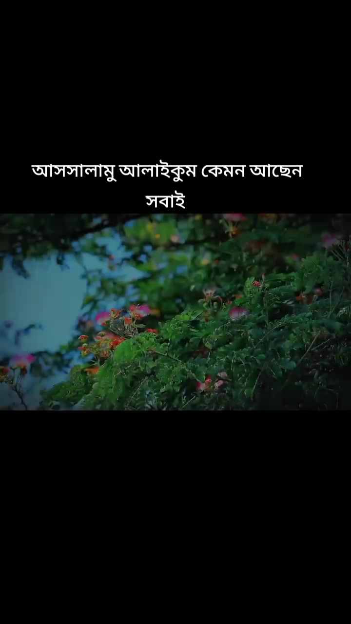 @md Sofik1234