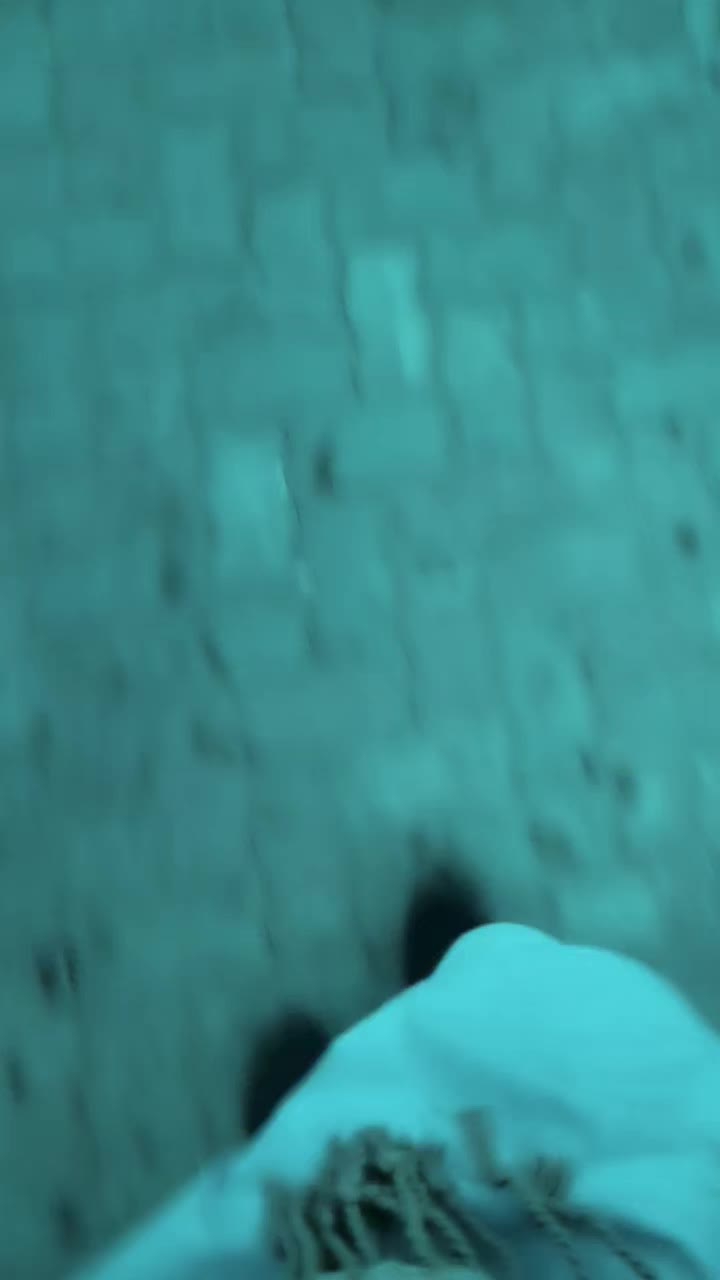 @𝙕i𝖘𝖍u🌸🥀