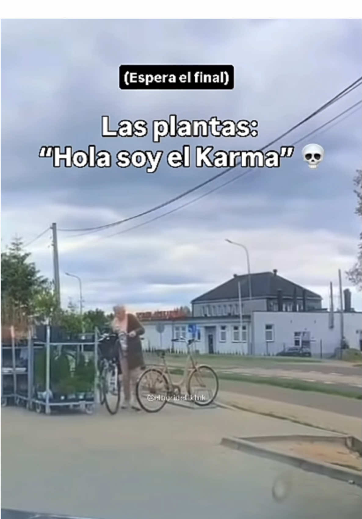 @Greenprincessliveplants
