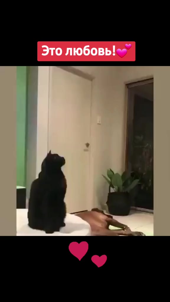 @@ Сарыкбай 💯
