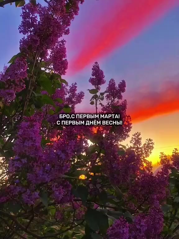 @♡ 𝓴 𝓸 𝓸 𝓴 ♡