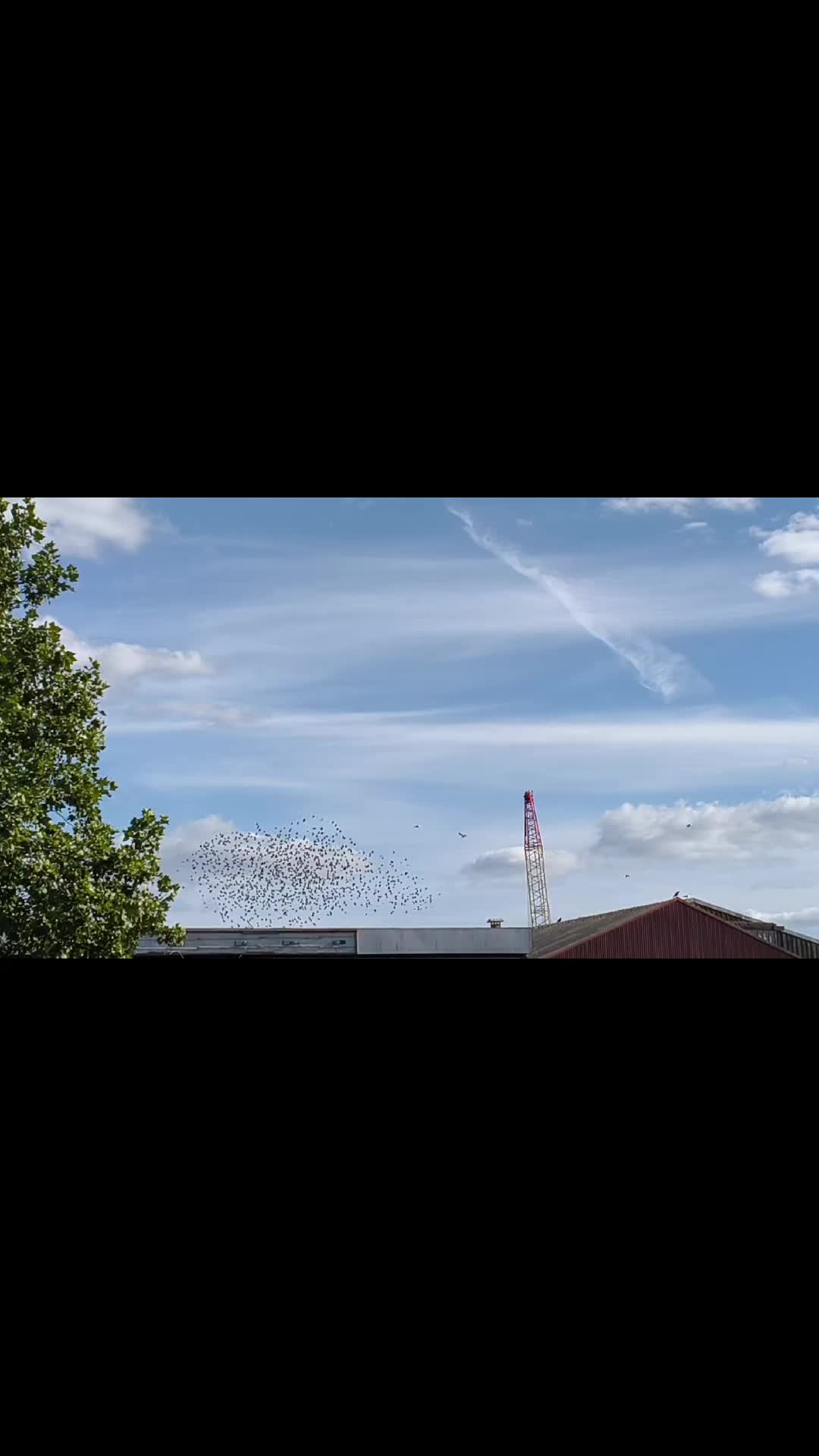 @SJ