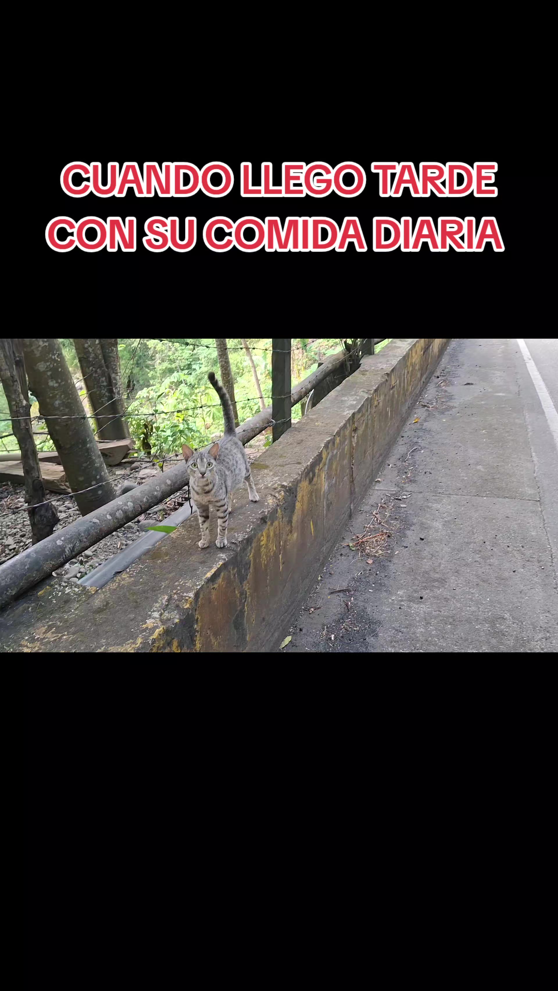 @ARIAS RESCATA