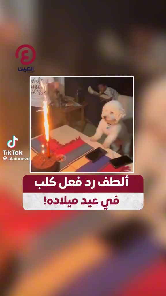 @ramytaher07