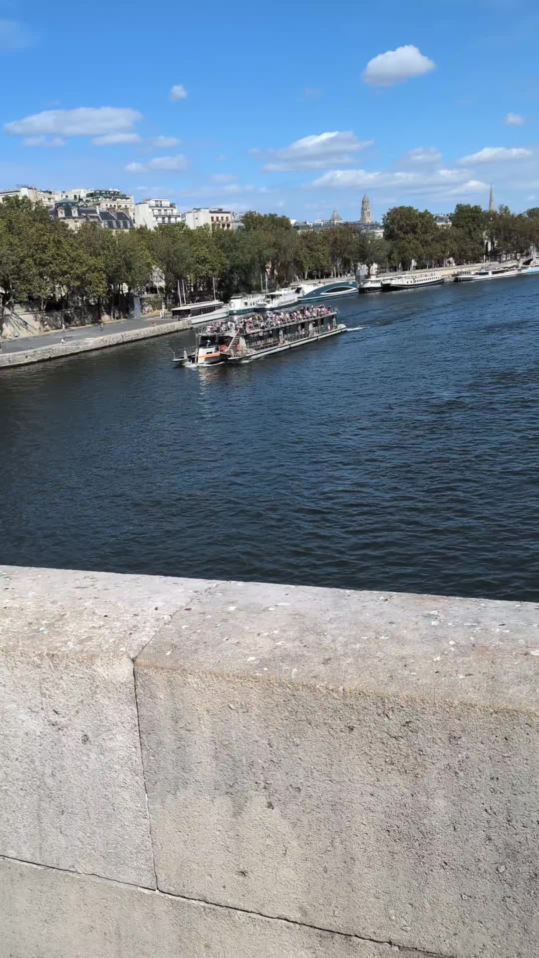 @hashemi0013