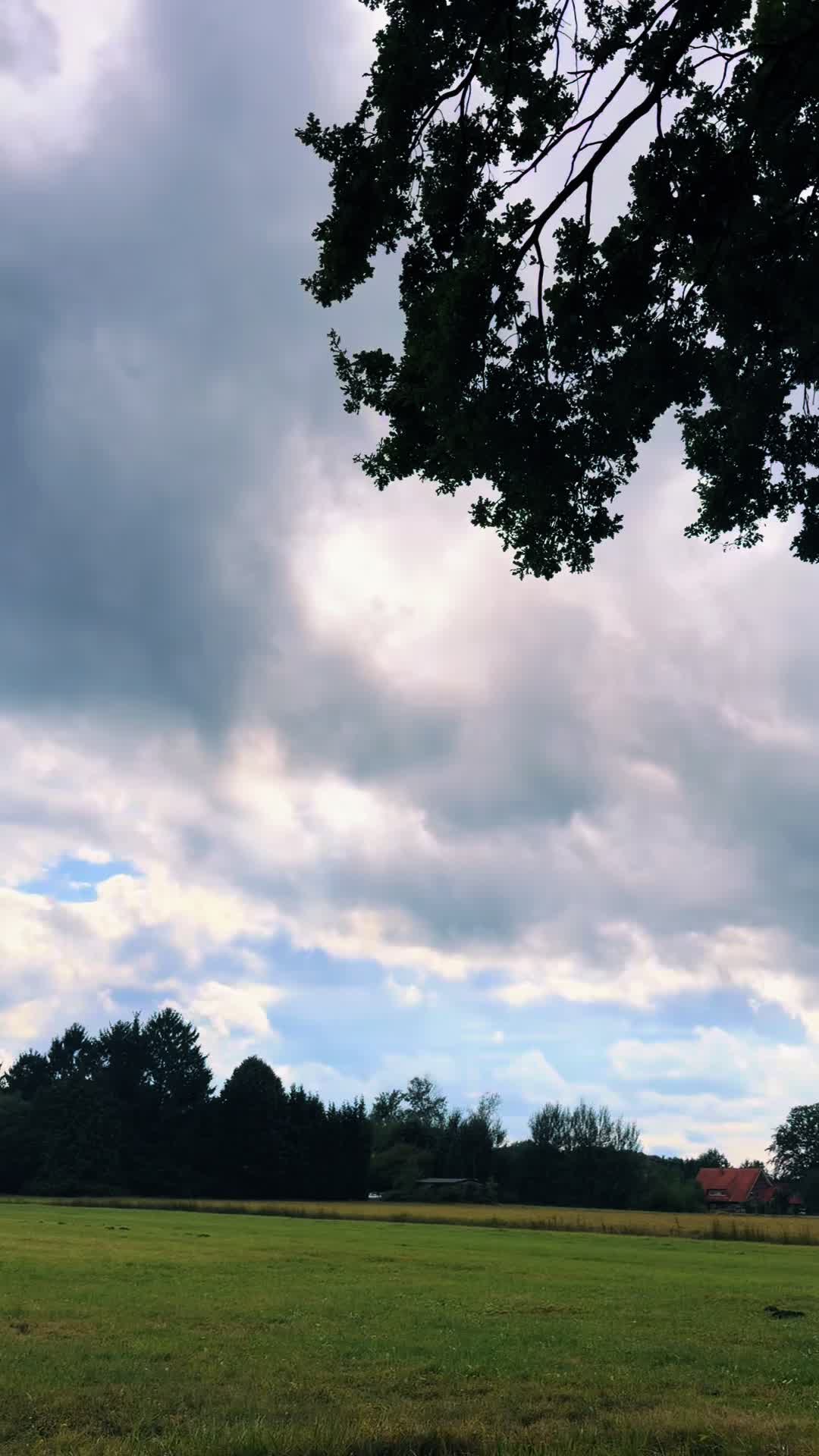@Jasmin_b