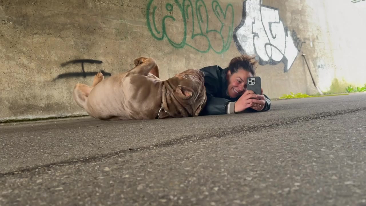 @RAW BULLYS