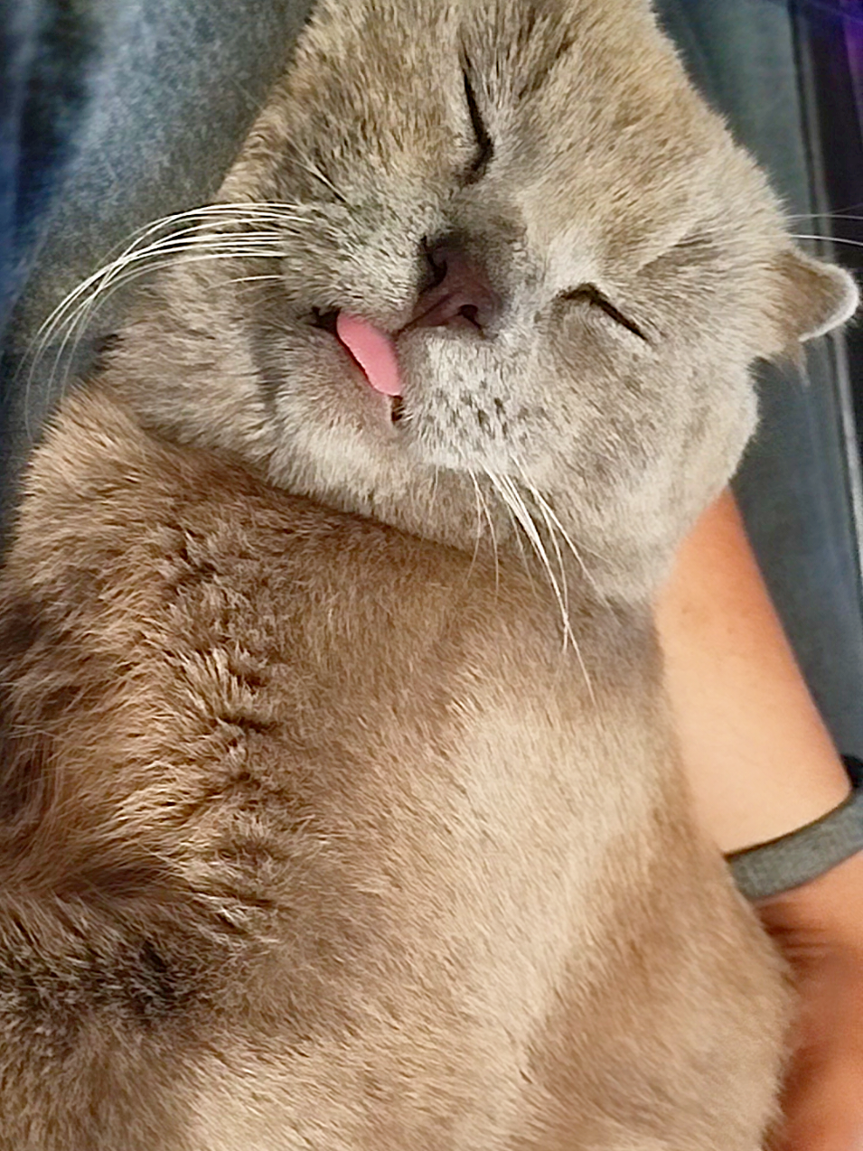 @🐈Масик&Андрей🥰