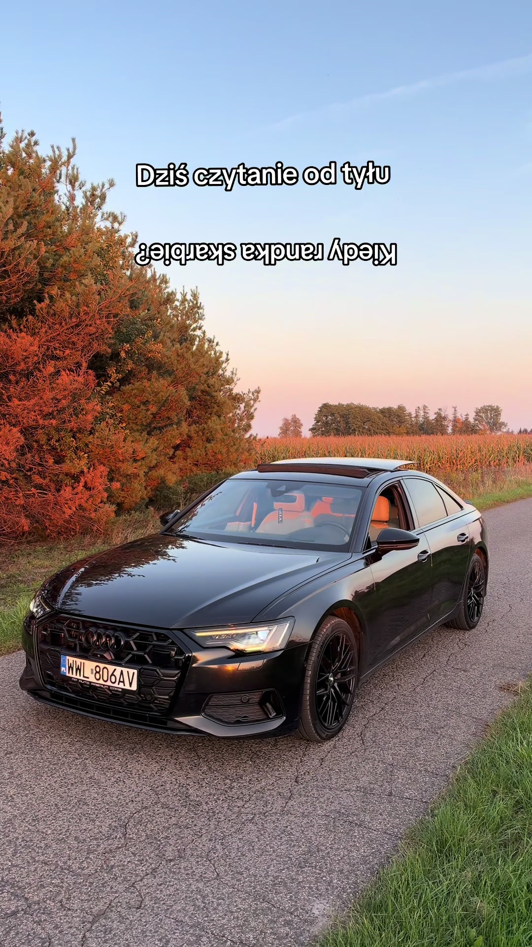 @A6AudiC8