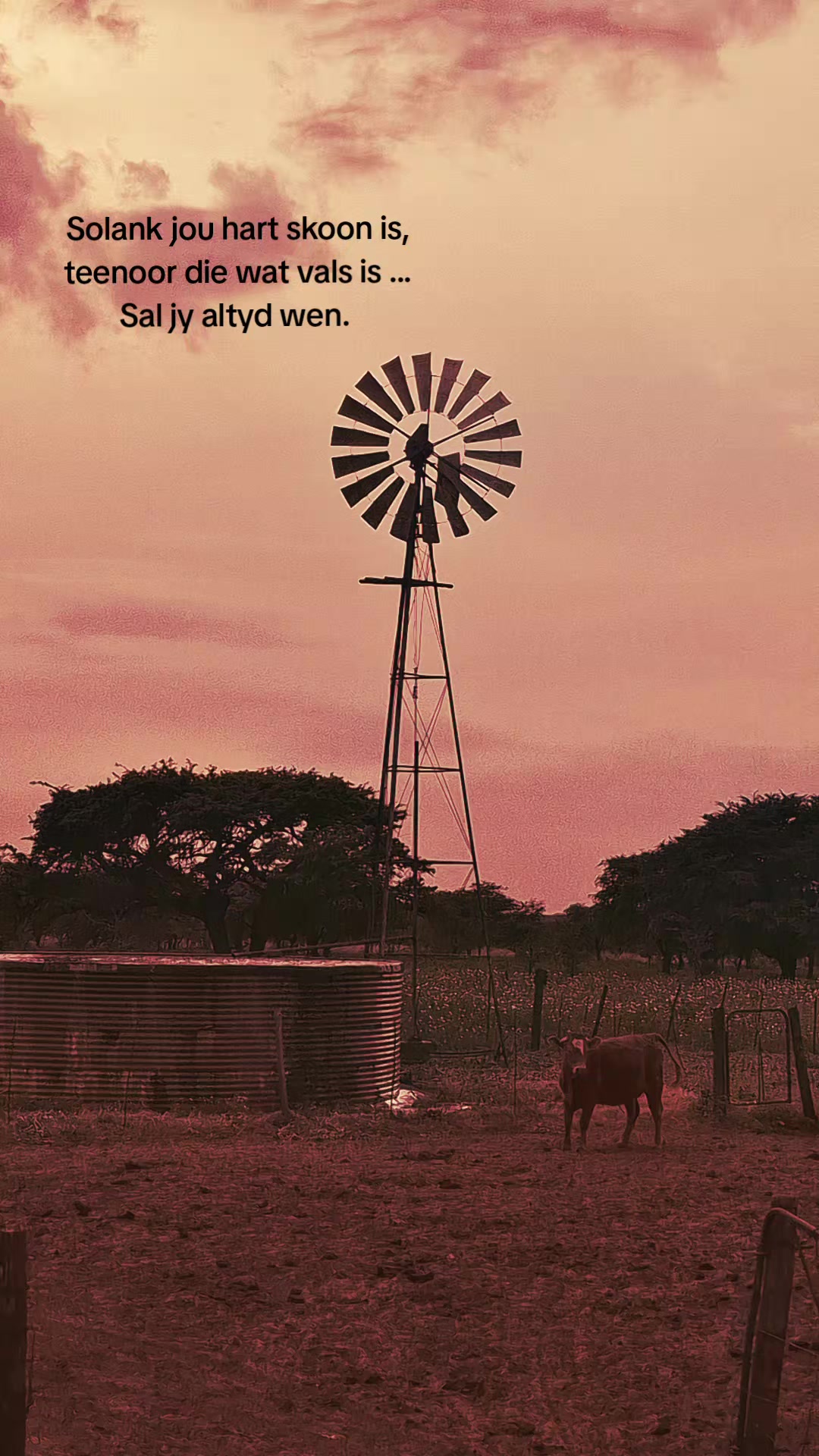 @Bees Strydom