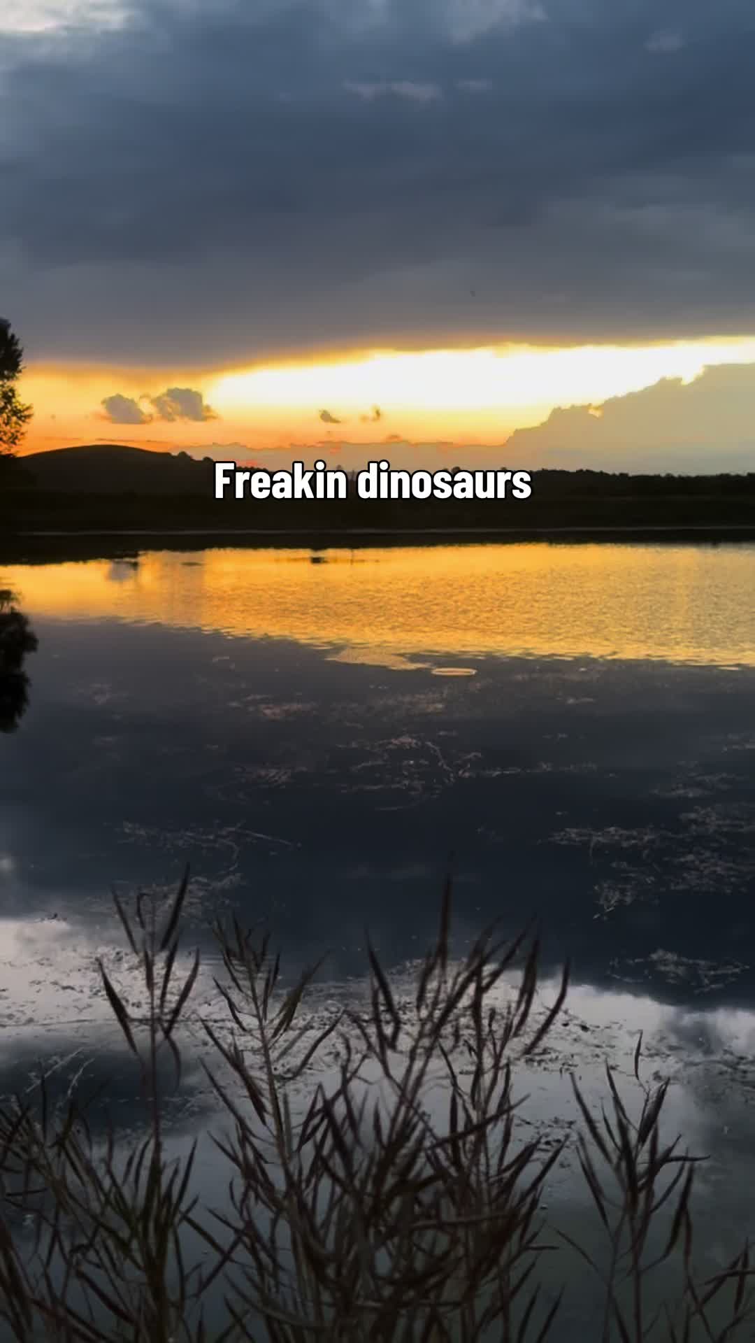 @Sasquatch Outdoors Official