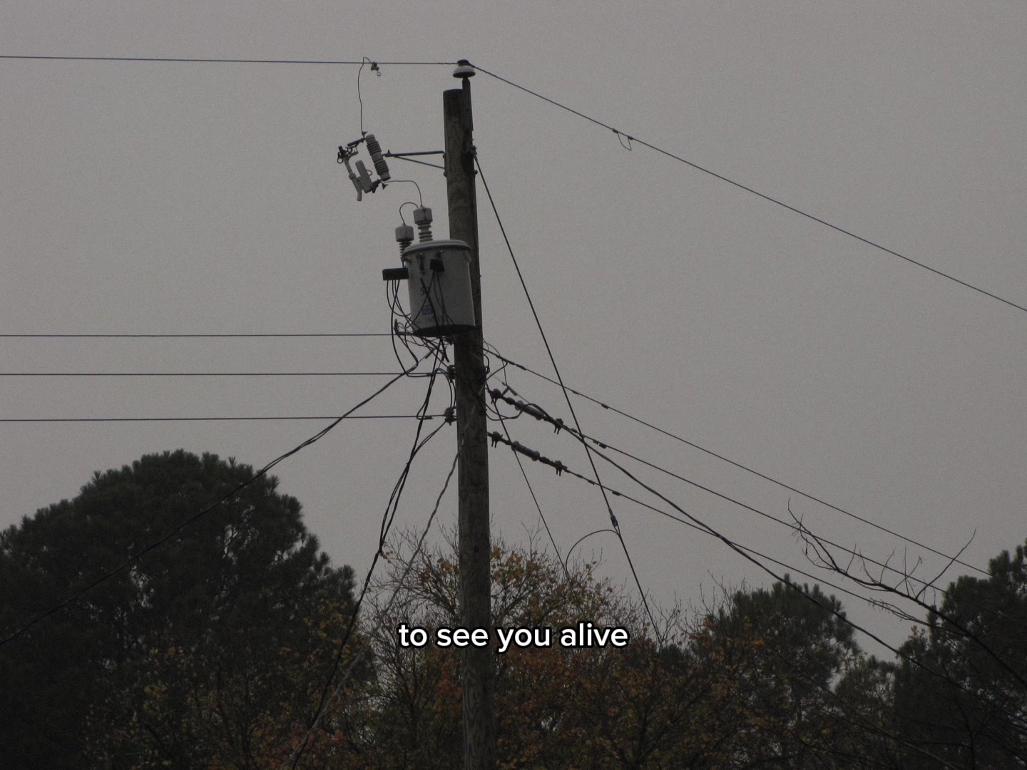 @Mousetown