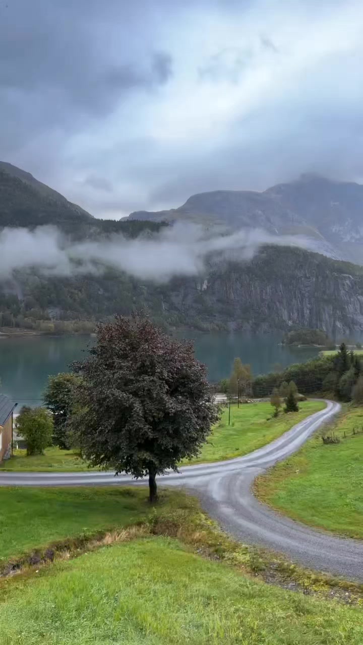 @MountainBOY🇳🇴🇨🇭🇦🇹🇵🇰