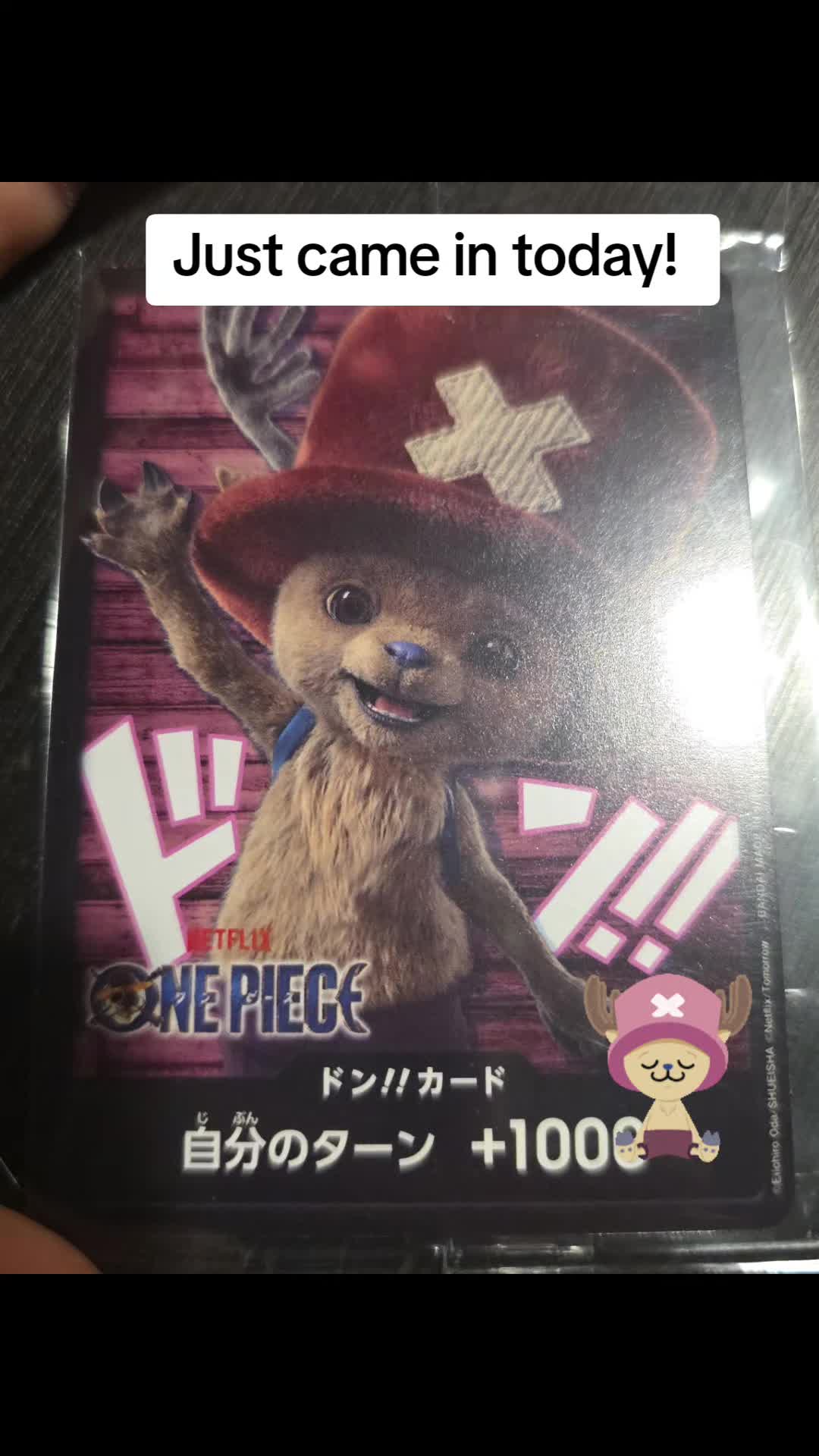 @kingking24king