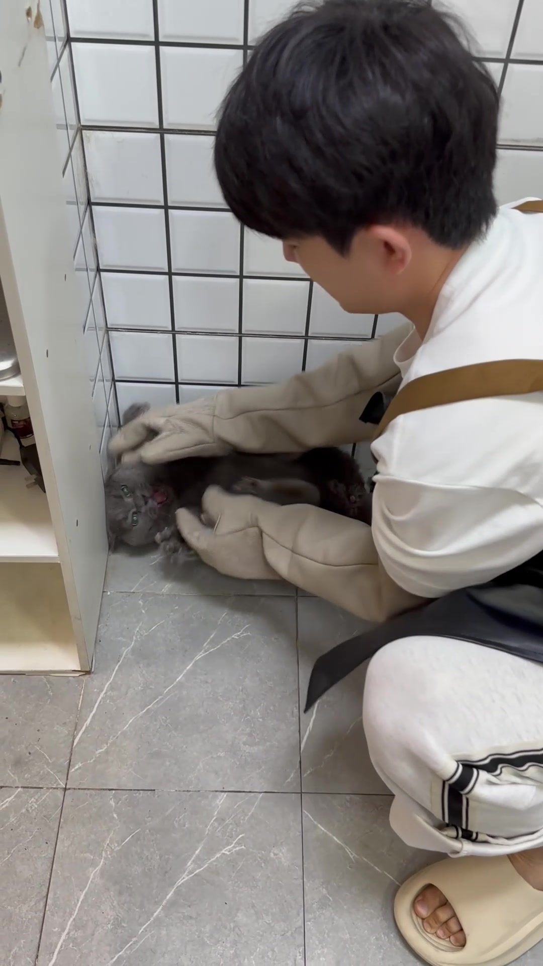 @washing.cats