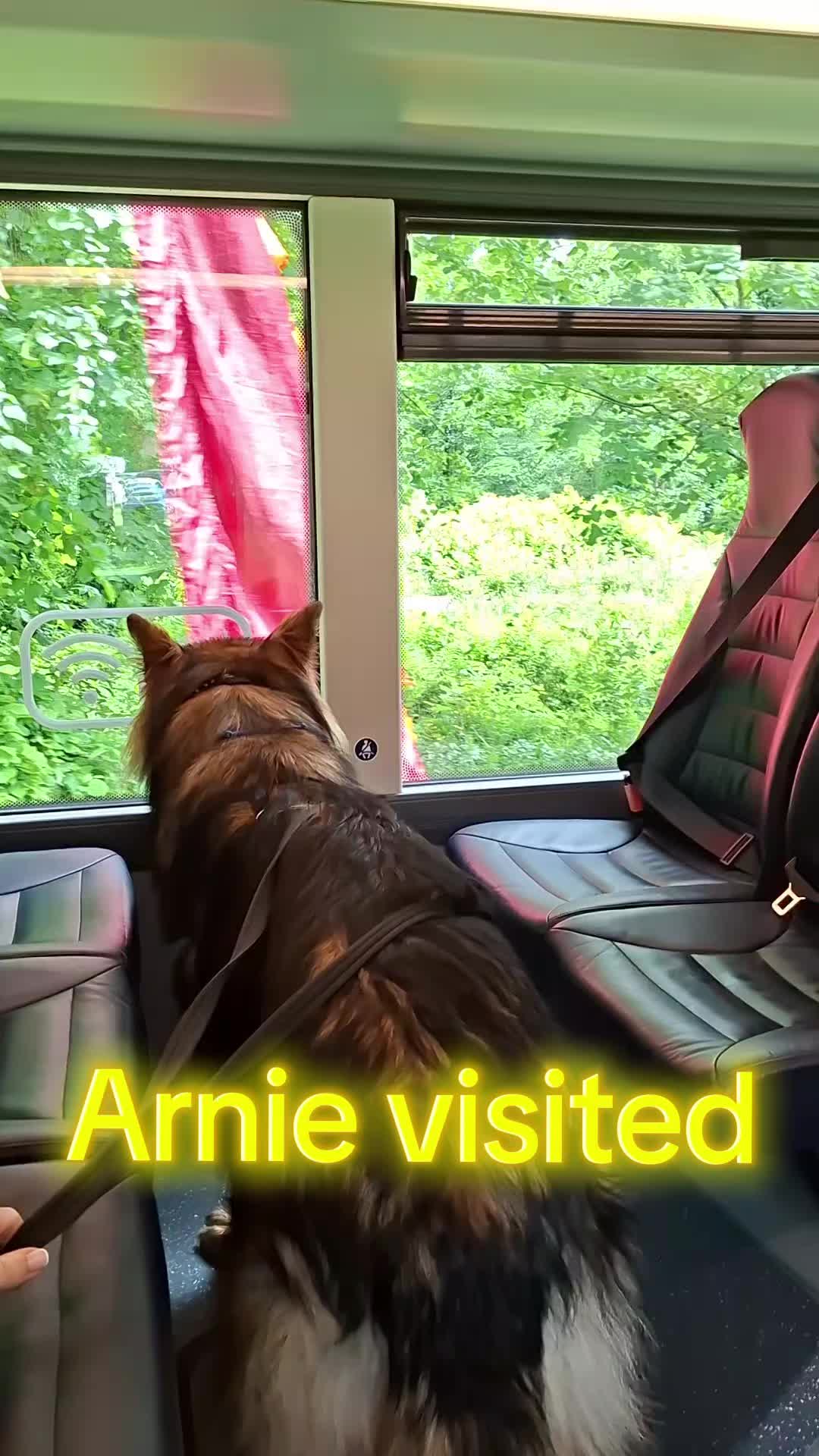 @Arnie 🇪🇺