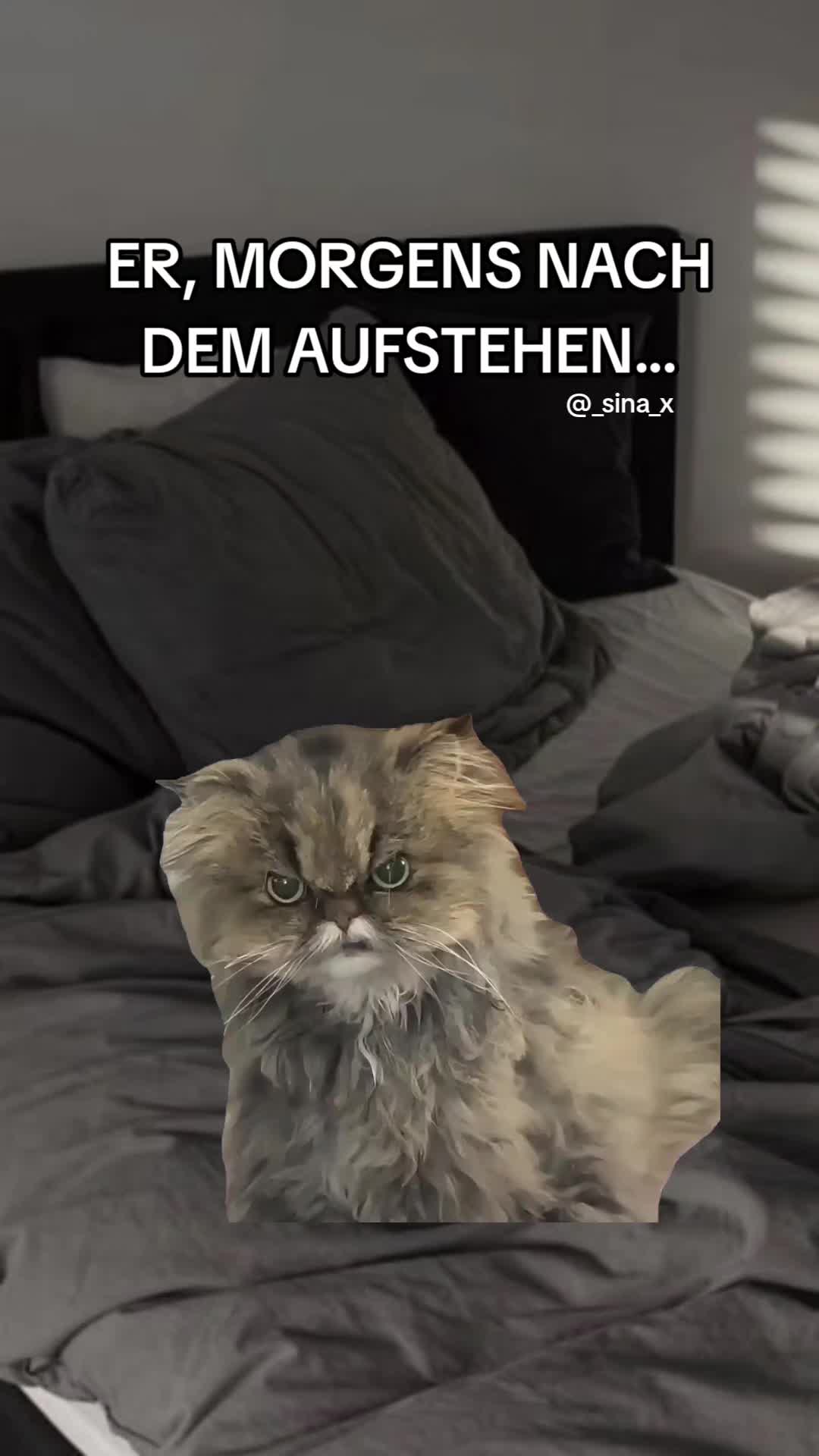 @𝙭𝙎𝙞𝙣𝙖🎮