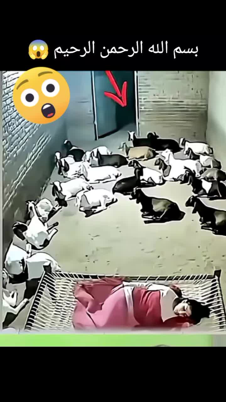 @๐น๐ฆุงูู
ุบุงู
ุฑ ูุงูุฑ ุงูุฌู๐ฆ๐น