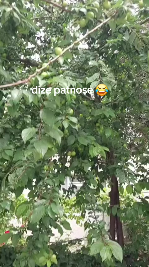 @🦋MAVIŞIM🦋