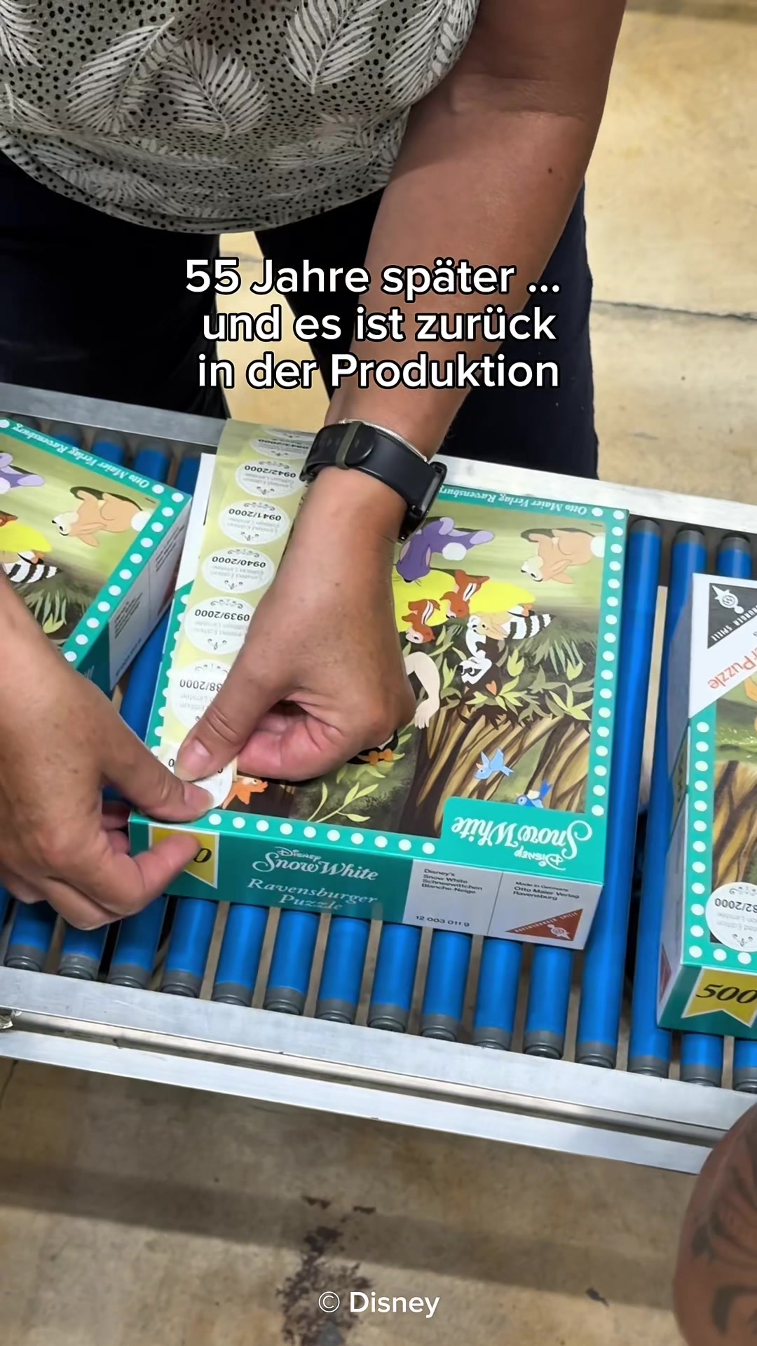@ravensburgerde