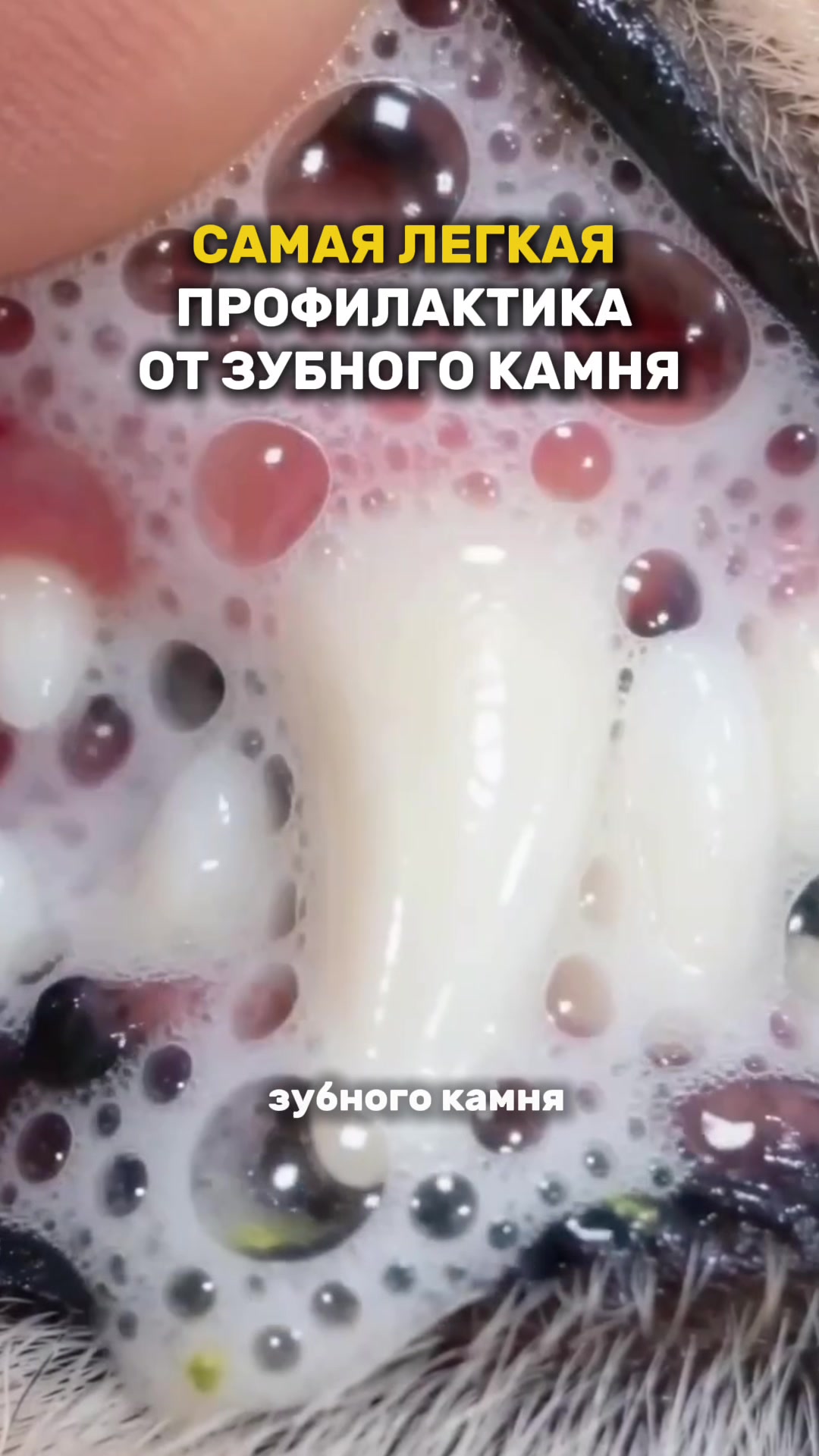 @daria_mikki