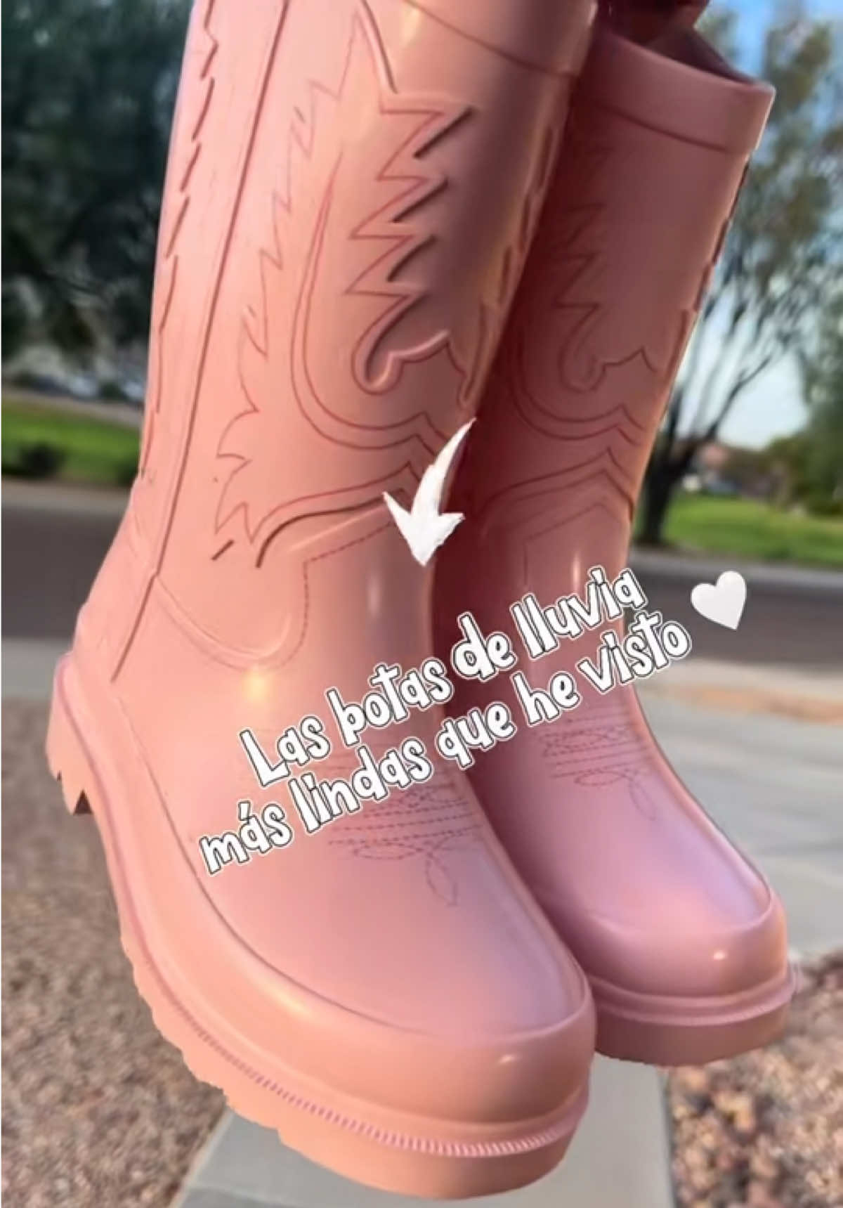 @𝓓𝓪𝓷𝓪𝓲 🎀 𝓢𝓸𝓯𝓲𝓪
