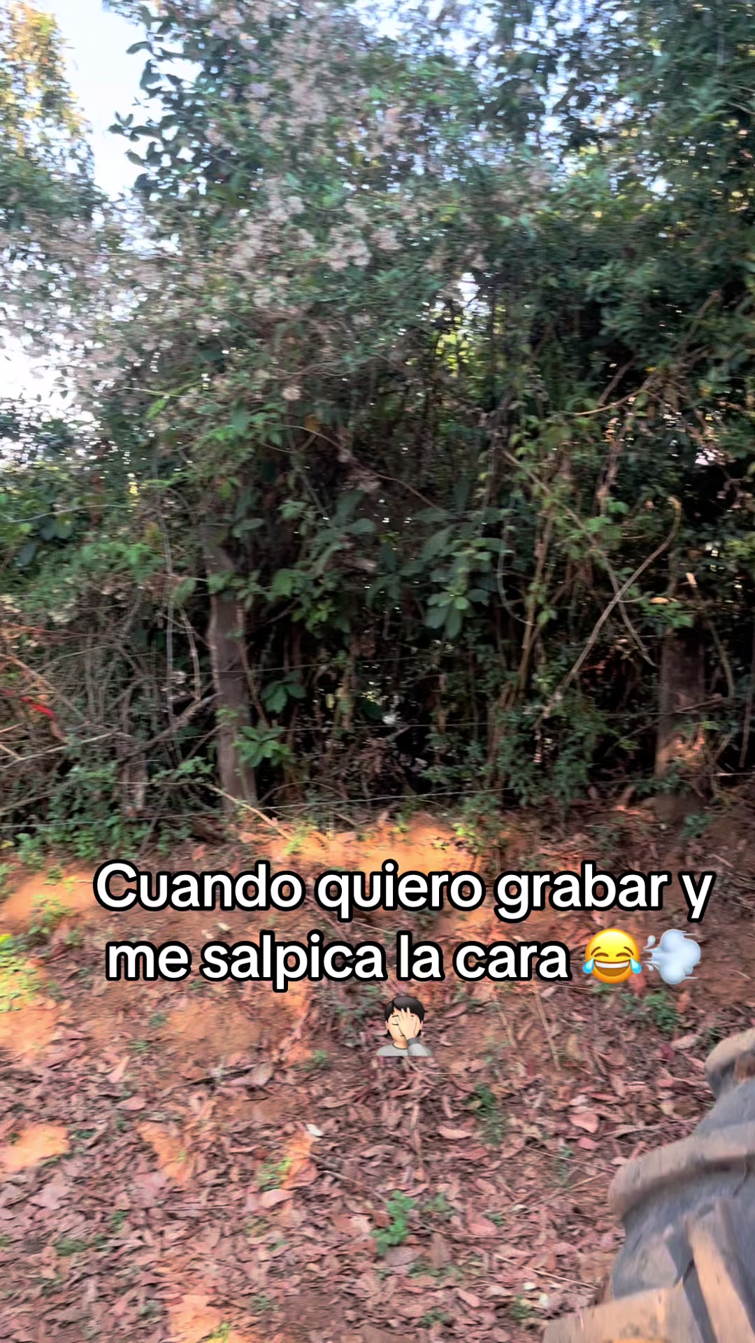@EL SEÑOR DE LOS PEDOS