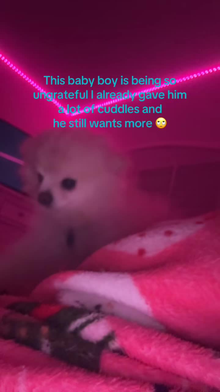 @Aless
