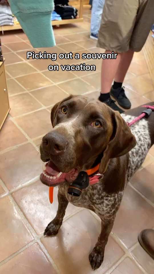@alice_the_gsp