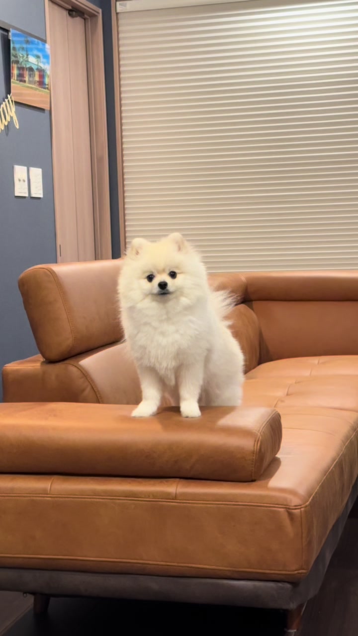 @孤独のサラリーマン５郎