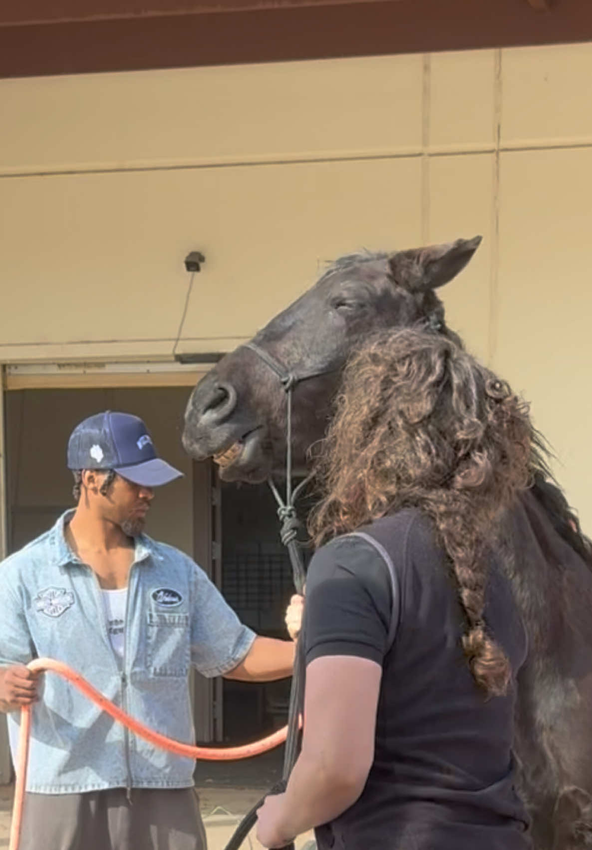 @Billy The Bad Ass Horse