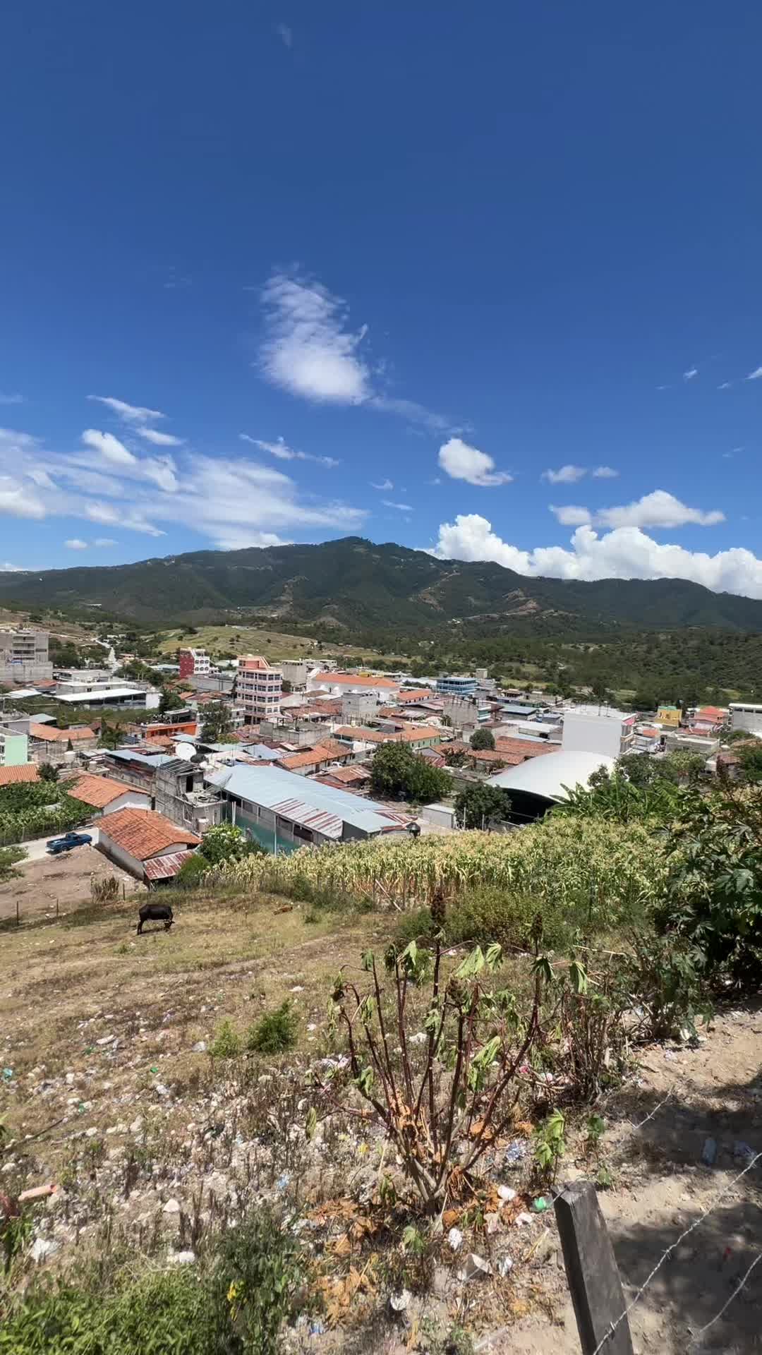 @🤍El chino divertido 502🤍🇬🇹