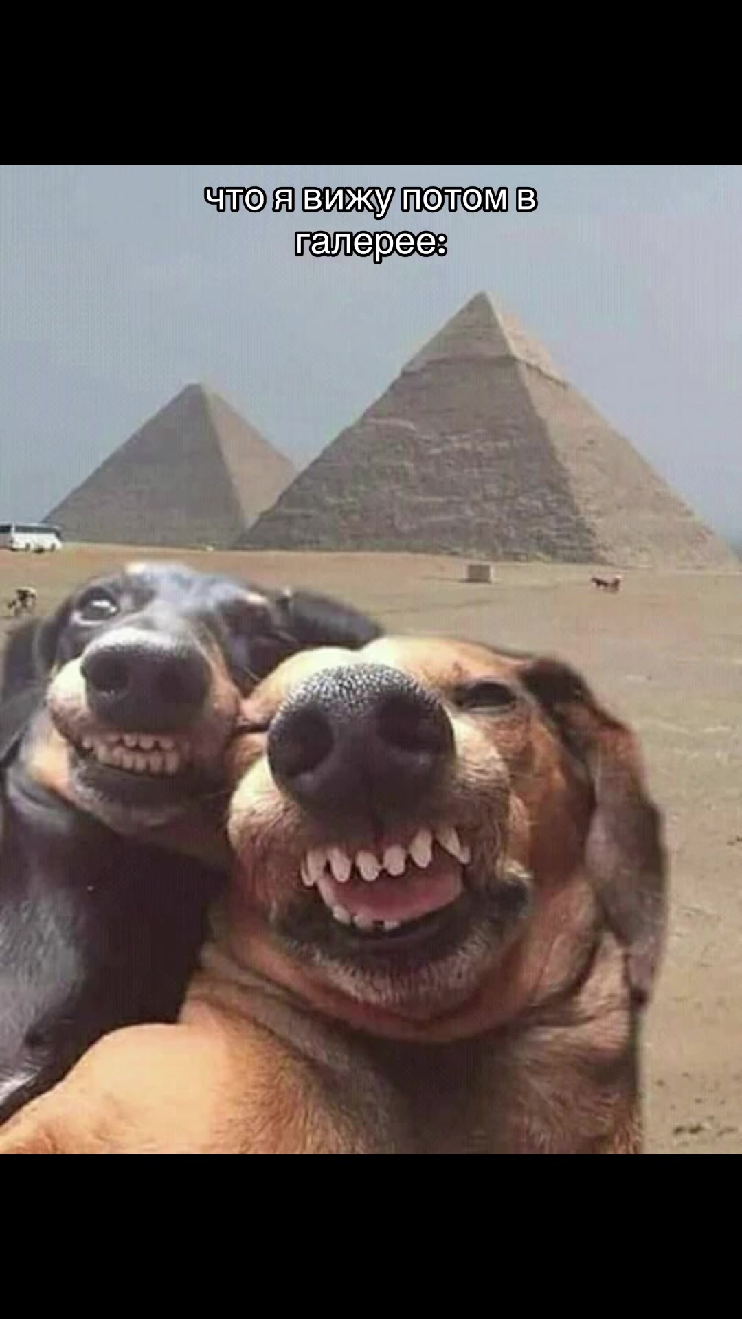 @d