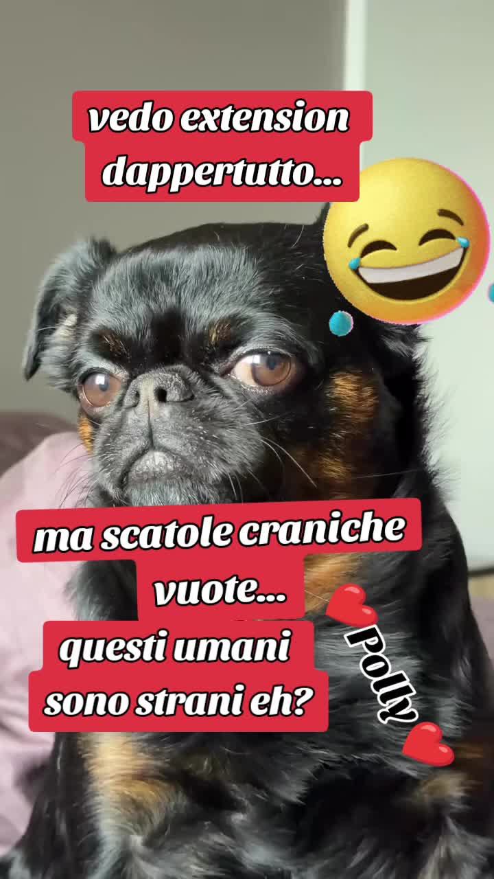 @♥️ POLLY ♥️