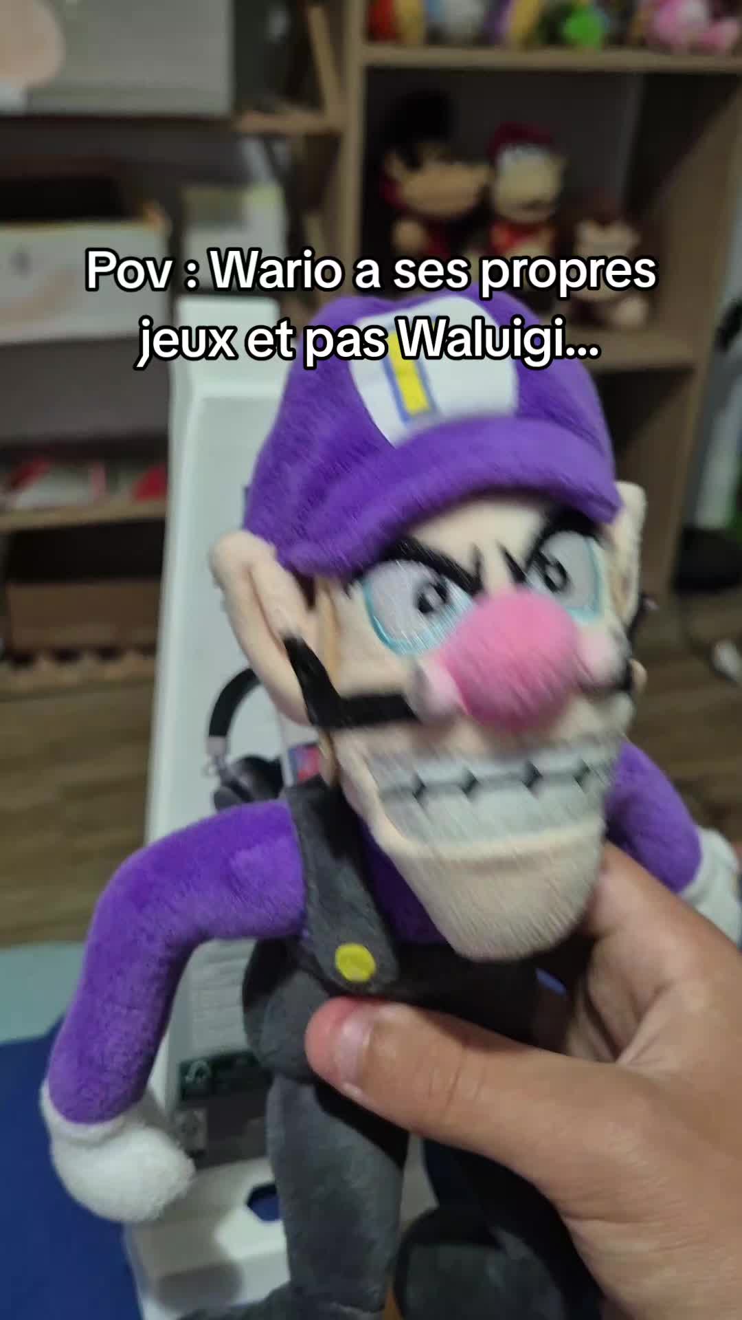 @peluchemario64