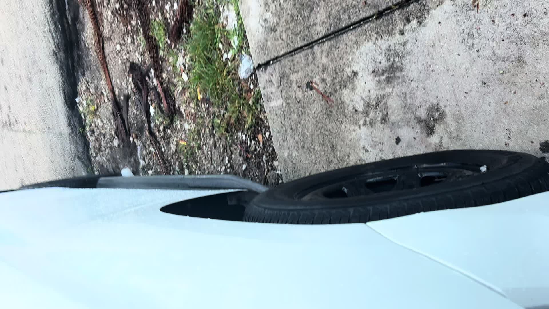 @mioytuyomiami.com/