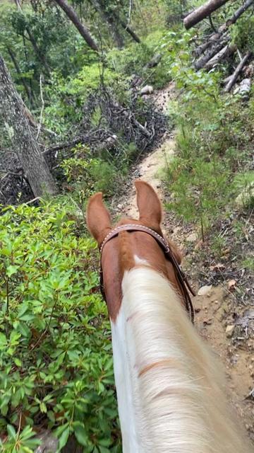 @➰🐴🌻 Kala 🌻🐴➰