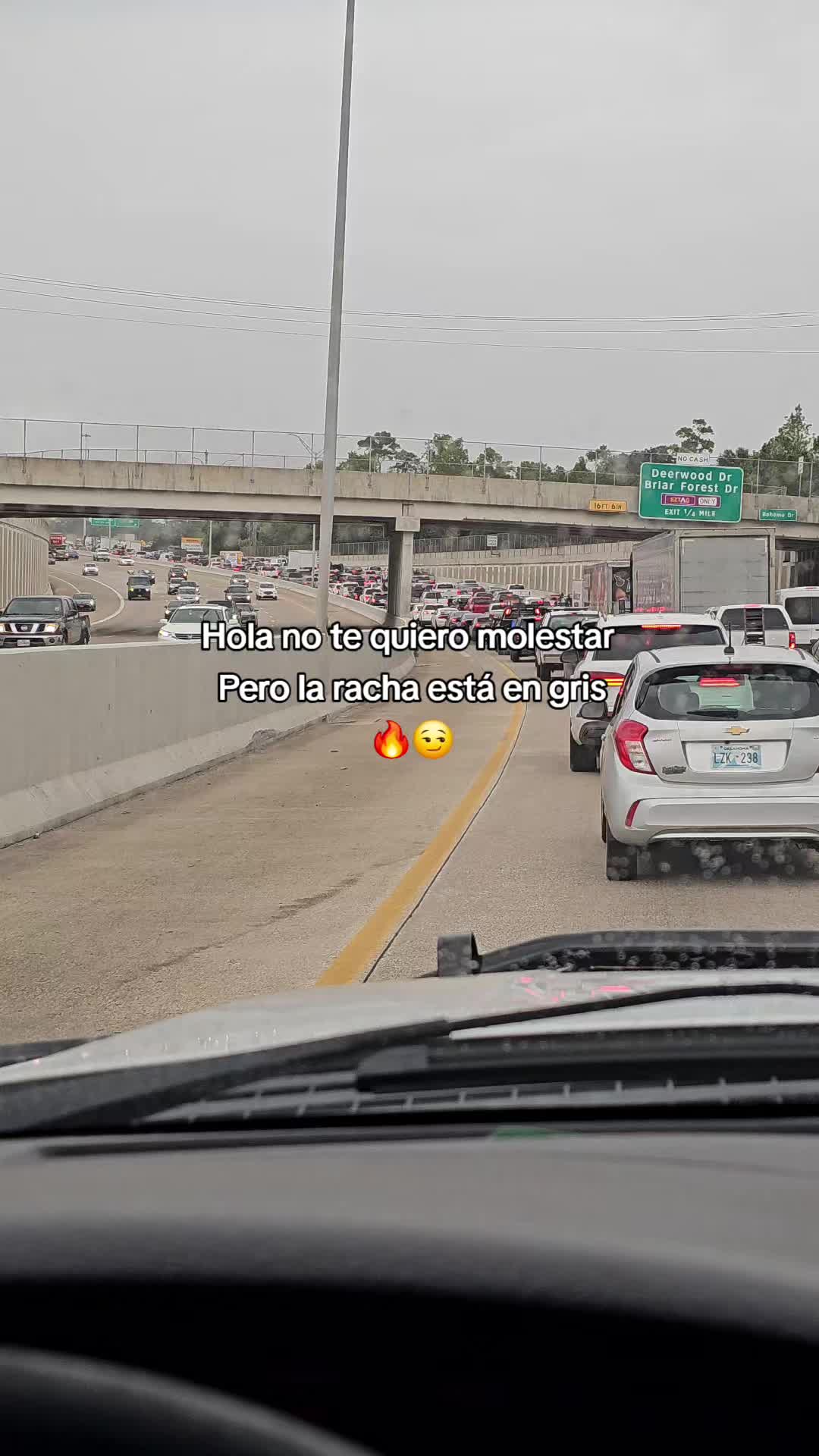 @R&aacute;pido💫&🌻Furioso🧝&zwj;♀️