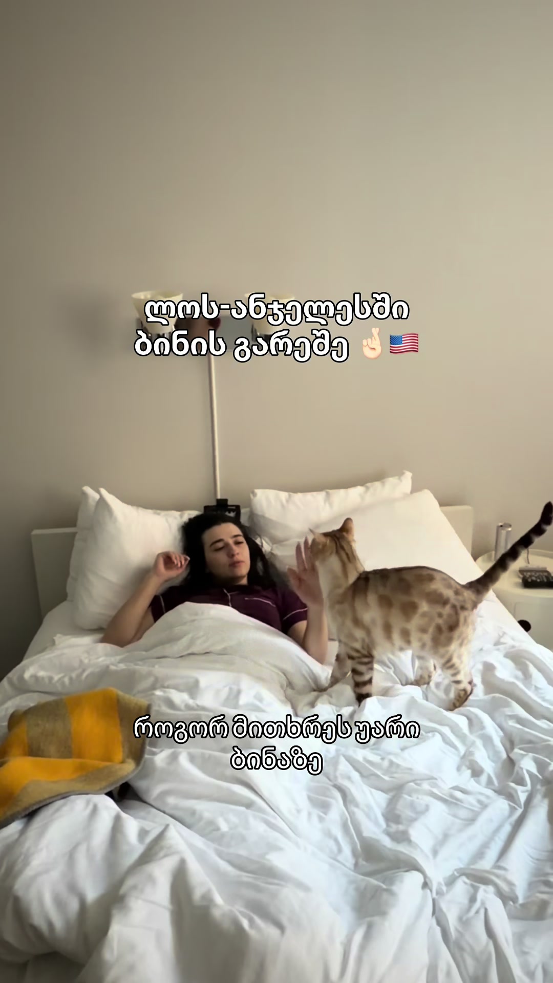 @iacho.0