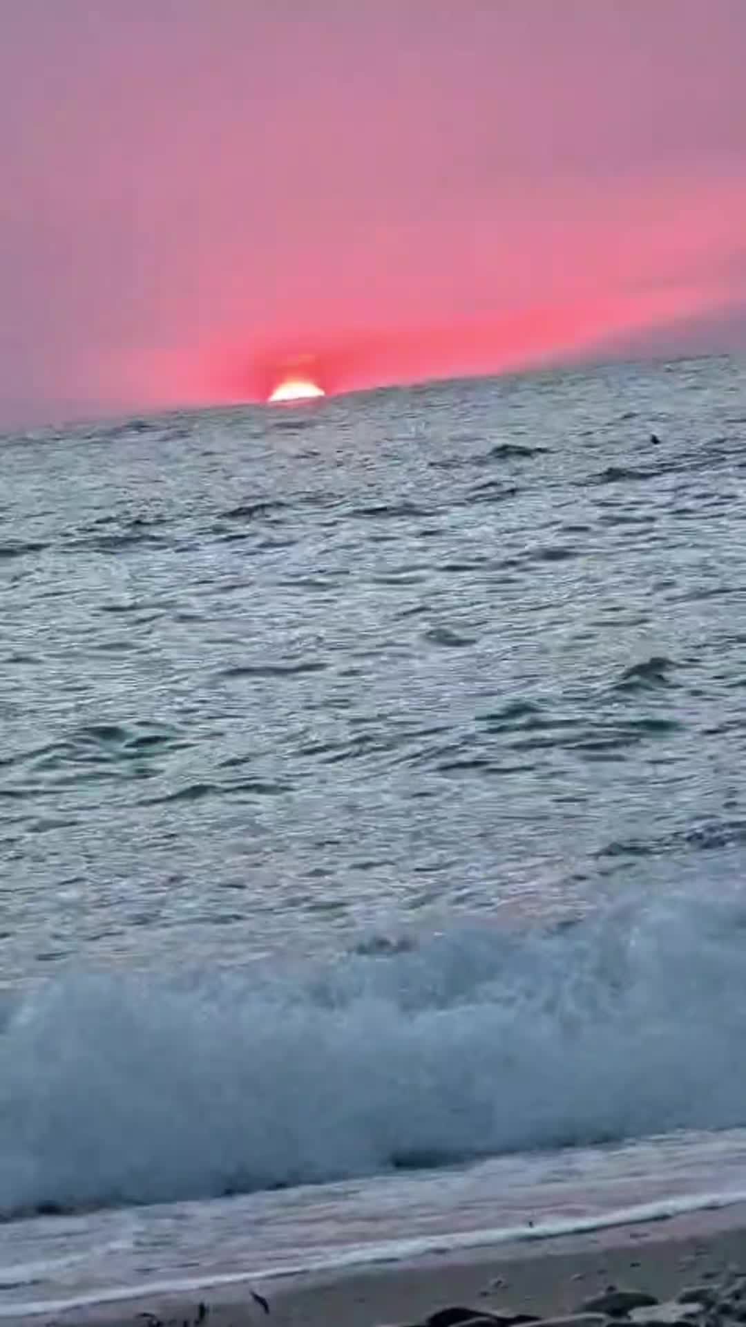 @Śladami Zebry