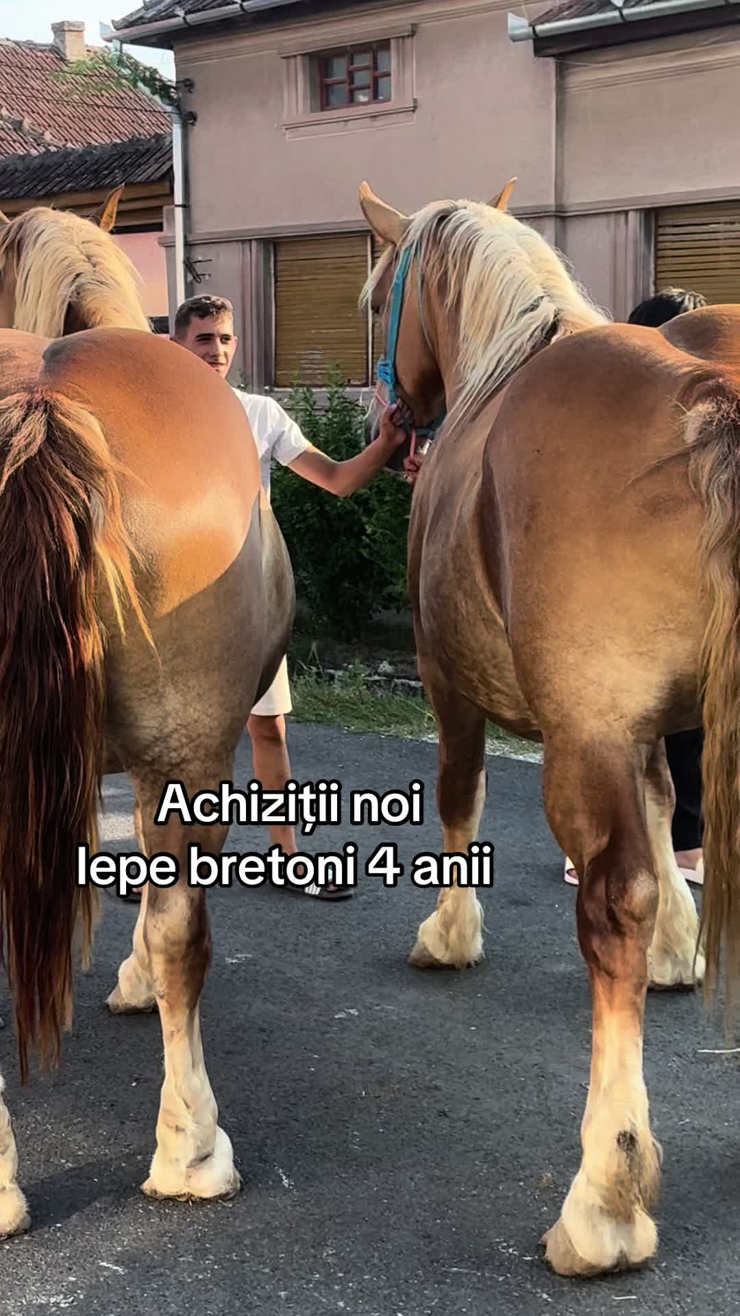 @🐴Spartanu🐴